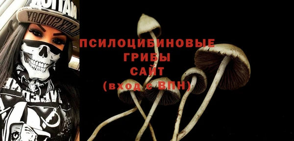 молекула духа Беломорск