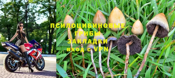 прущие крисы Богданович