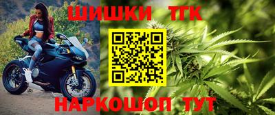 прущие грибы Гусиноозёрск