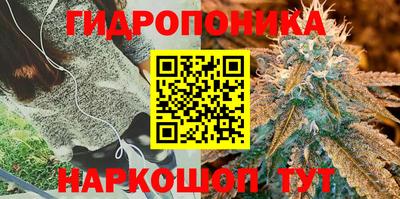 apvp Гусь-Хрустальный