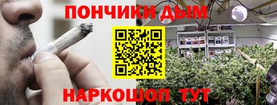 прущие грибы Гусиноозёрск