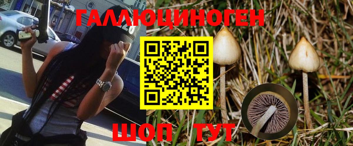 Псилоцибиновые грибы GOLDEN TEACHER Сланцы