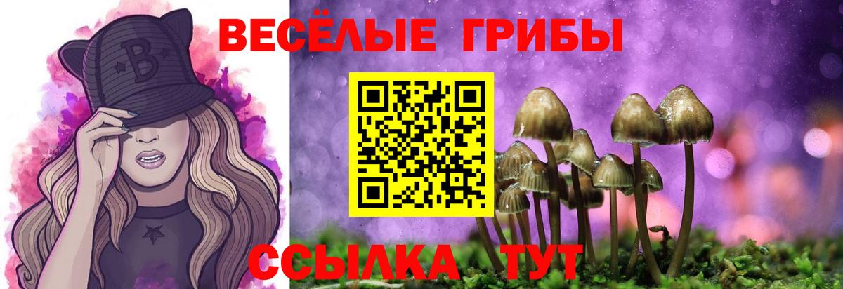 Галлюциногенные грибы Magic Shrooms  Вход с VPN  Сланцы 